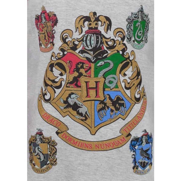 Harry Potter Official Girls Hogwarts Raglan T-Shirt 5-6 år G Grå 5-6 år