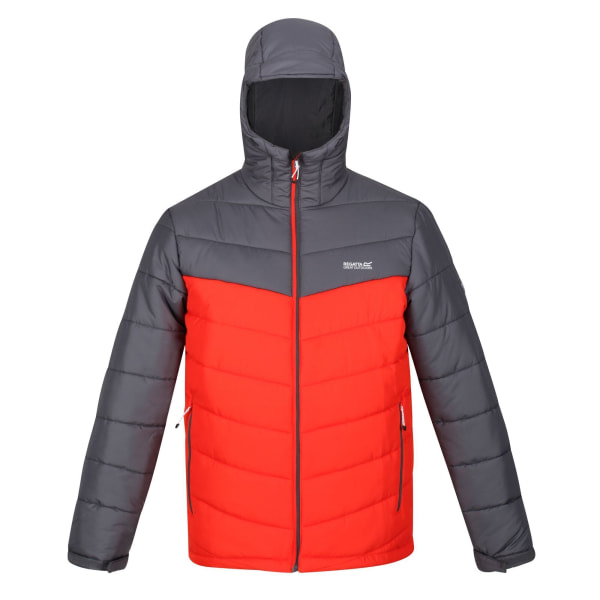 Regatta Herre Nevado V isolert polstret jakke XL Cajun Orange/R Cajun Orange/Rhino XL