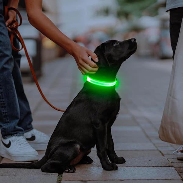 LED hundehalsbånd oppladbart justerbart rosa sikkerhet mørk L 55-60cm Pink L