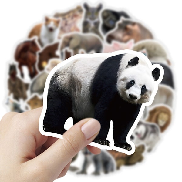 50 kpl Naturmuseum Animals Lover Collection Wildlife Panda Camp -tarroja