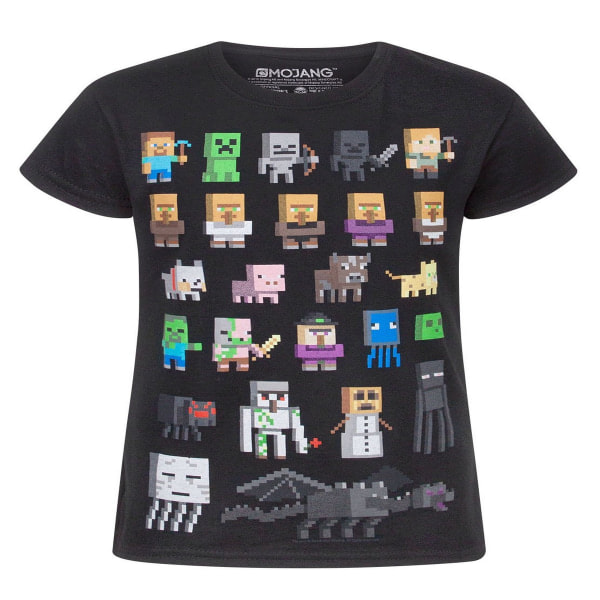 Minecraft Girls Sprites T-paita 11-12 vuotta musta/monivärinen 11-12 vuotta