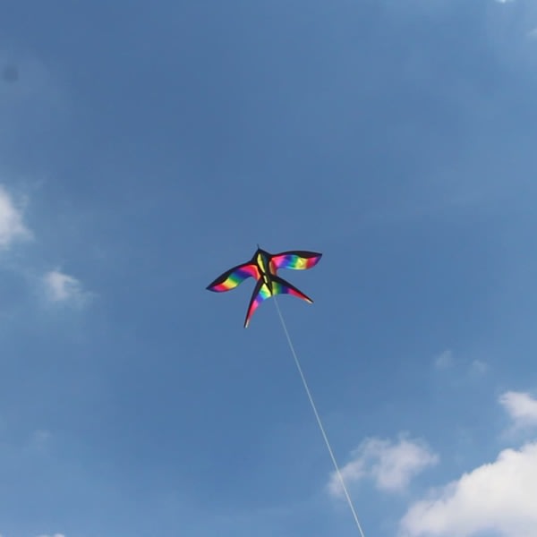 Rainbow Bird Drakar med Handtag Line Nylon Swallow Kite