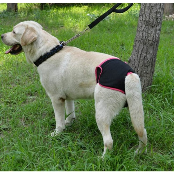 2 Pack Återanvändbar Hundblöja Fysiologiska Byxor Underkläder Kvinnor Husdjurshygienskydd Toalettblöjor