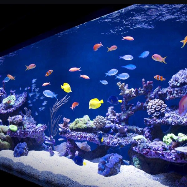 akvarium grus renare akvarium sifon vattenrengöringspump fisk tank sifon grus manuell rengøring