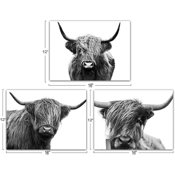 Tryck på skotsk ko canvas djurmålning väggmålning