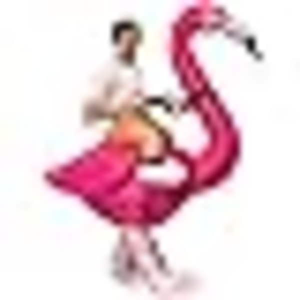 Inflatable Costume Inflatable Halloween Costumes Flamingo Costumes Adult