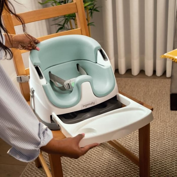INGENUITY 2-i-1 Bältesstol med Integrerat Förvaringsfack, Dimma, från 6 Månader