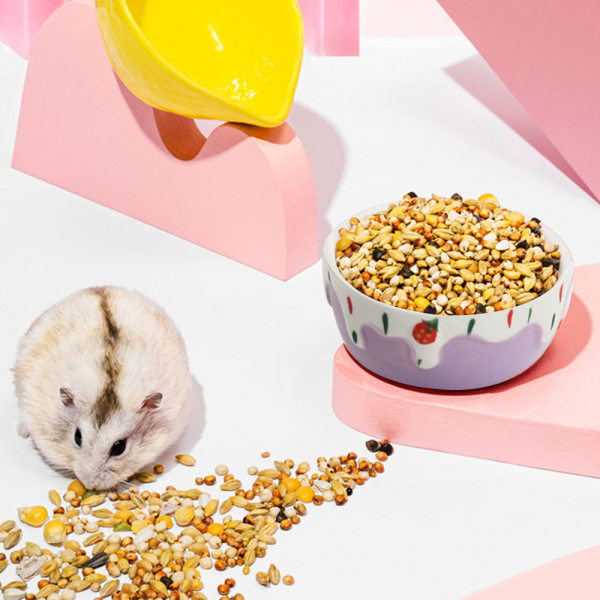 2 stk. Hamster Madskål, Smådyr Keramisk Mad- og Vandskål-XF3-
