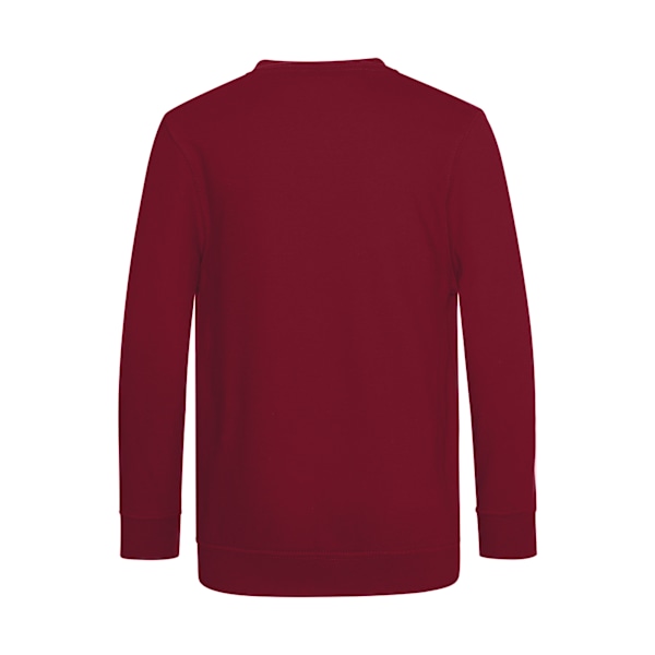 AWDis Academy Barn/Barn Junior V-hals Skoltrøye/Sweatshirt Claret 3-4 Years Claret