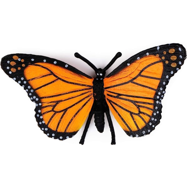 4-delad Butterfly Life Cycle Kit Monarch Butterfly Livsstilsstadier Undervisningsverktyg för barn, opiskelija