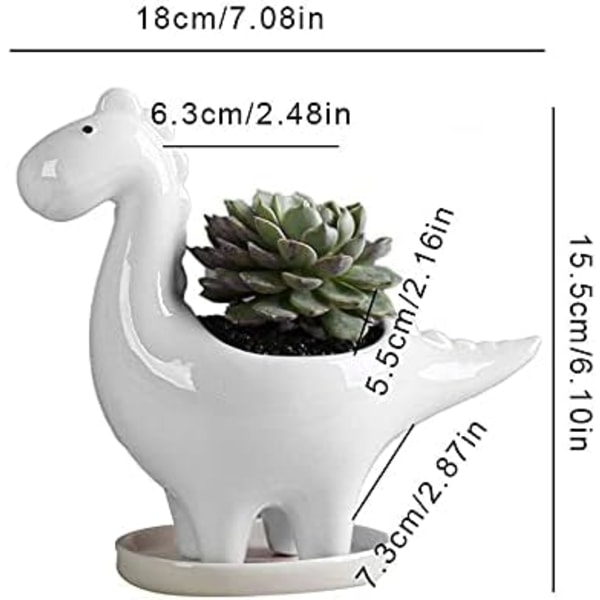 Keramisk sukkulentplantepotte - Kreative kaktuser - Dekorativ blomst