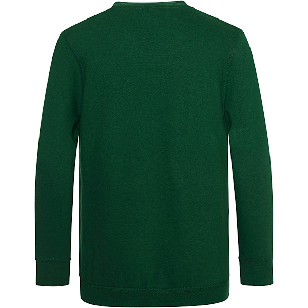 AWDis Academy Barn/Barn Junior V-hals Skoltröja/Sweatshirt Grøn 11-12 Years Green