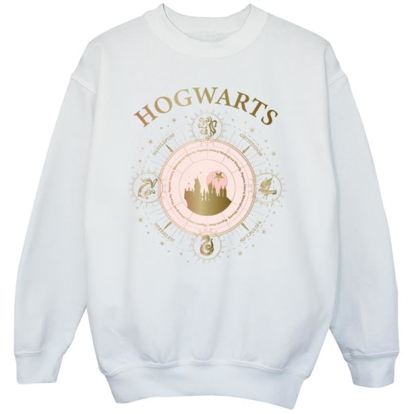 Harry Potter Girls Hogwarts Constellation Sweatshirt 5-6 år Hvid 5-6 år
