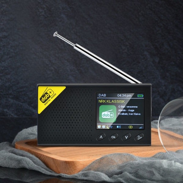DAB+ FM-radio, bærbare DAB-radioer Genopladelig digitalradio med USB-opladning (sort)