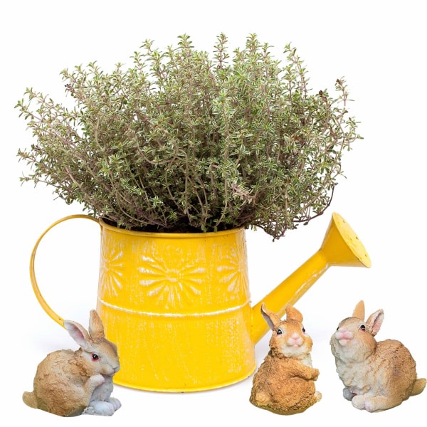 6 st Kaniner Kanin Trädgårdsprydnader Mini Harts Kaninfigurer Kaniner Håller Morötter Utomhus Mikro Landskap Trädgård Påskdekoration (Brun)