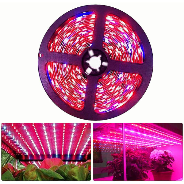 LED Plant Grow Light Strip DC 12V IP20 Full Spectrum SMD 5050