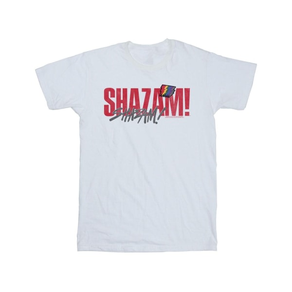 DC Comics Mens Shazam Fury Of The Gods Pride Distress T-Shirt 5 Vit 5XL