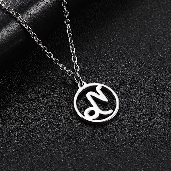 Halsband Stjärntecken STENBOCKEN Zodiak Capricorn Rostfritt Stål silver