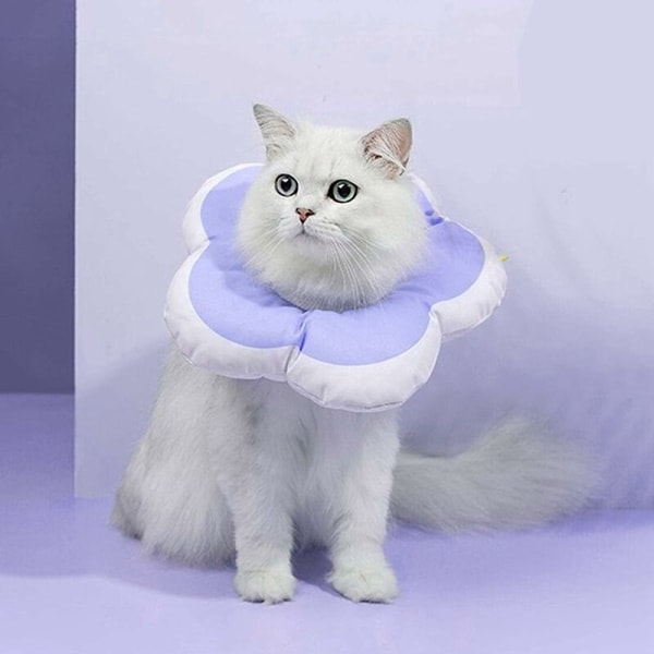 Mjukt kattungehalsband, vadderat kattungehalsband med justerbart dragsko, anti-bett och komfortabelt återhämtningshalsband(S) for husdjur