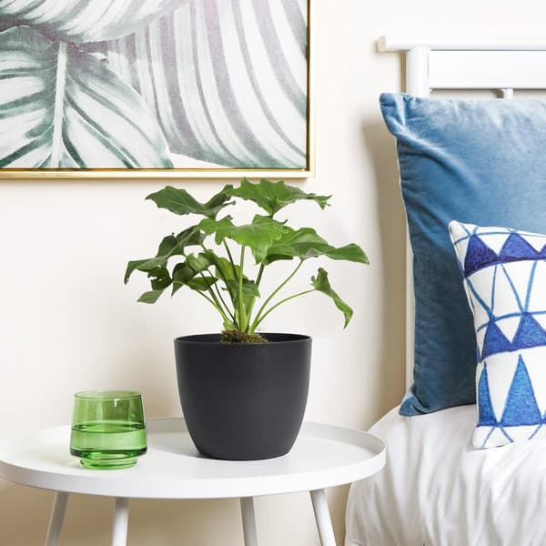 Black 14x13cm, 6 pcs automatic watering pot 12cm black visible water level home decorative flow-FF-