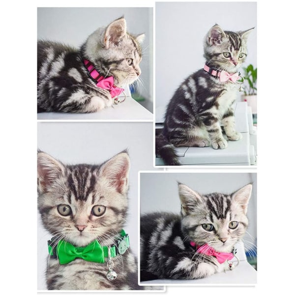 Justerbart kattehalsbånd med klokke og slips