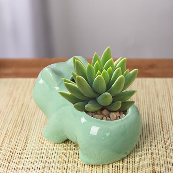 DIY Flower Pot Cute Ceramic Art Pots Home Decorative Ceramic Art-FF-