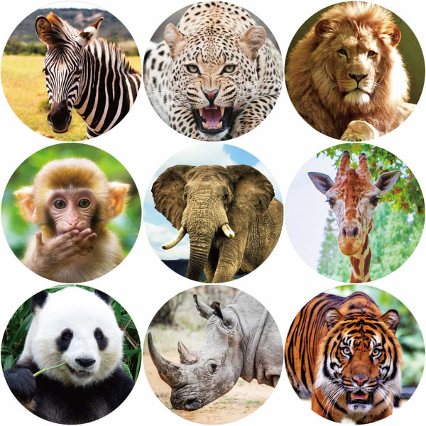 2-pack Realistic Zoo Animal Sticker Safari Animal Jungle 200st