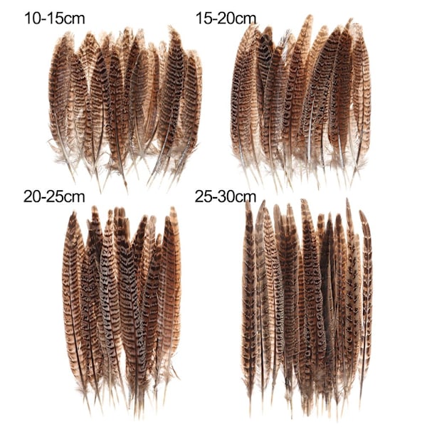 Fasanfjer 15-20CM - Spot salg