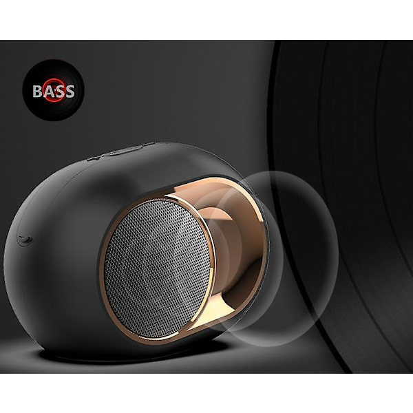 Langaton Bluetooth-kaiutin FM-radiolla ulkokäyttöön, rock-bassosoundi BLACK
