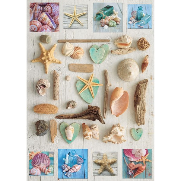 Educa Seashells Jigsaw Puzzle One size Monivärinen Monivärinen One size