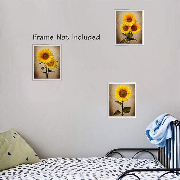 Sett med 3 plakater av Wall Decor of Sunflower Decor (8 "X 10"