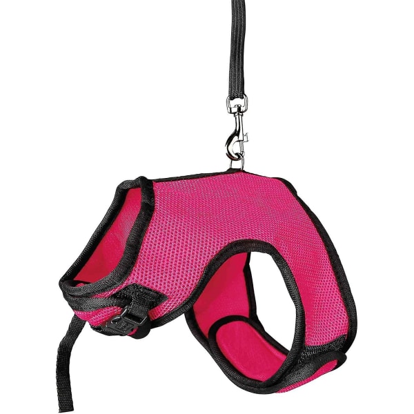 Smådjurssele för råttor Nylon 1 st (rosaröd)-XF3-