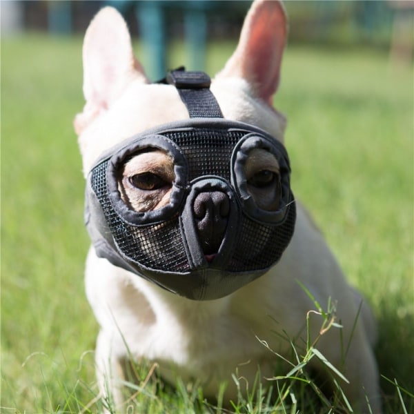 Kort nosparti for hund - justerbart ventilerande mesh bulldogg nosparti for tugga bett skällande hundmask, grå(ögon) M