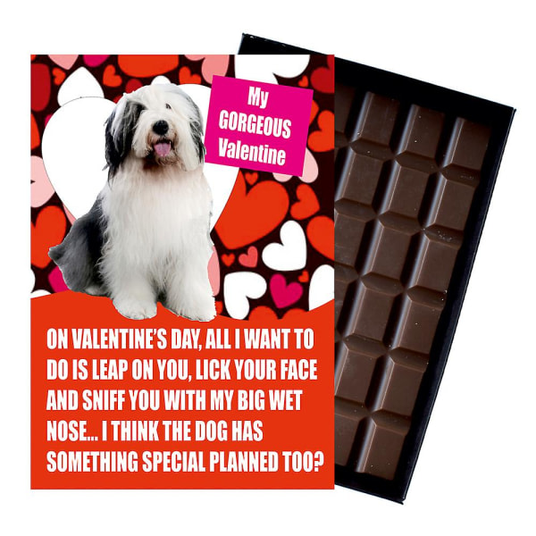Gamla engelska få present för alla hjärtans dag presenter hundälskare chokladboxar