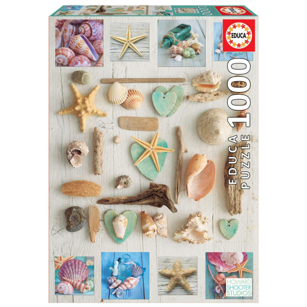 Educa Seashells Jigsaw Puzzle One size Monivärinen Monivärinen One size