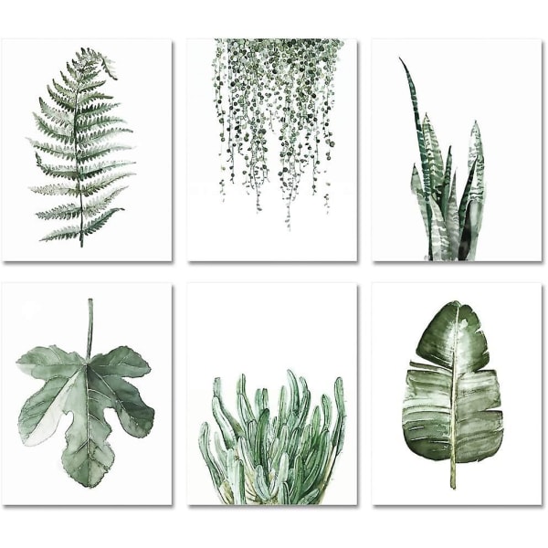Planter udskriver plakater, sæt med 6, 8x10 uindrammede print