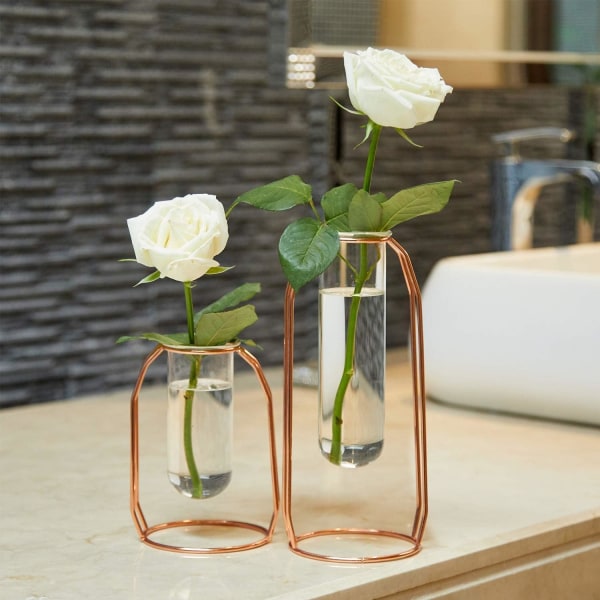 Flower Vas Set med 2 Klar Sylindrisk Glas Vas Tube Design