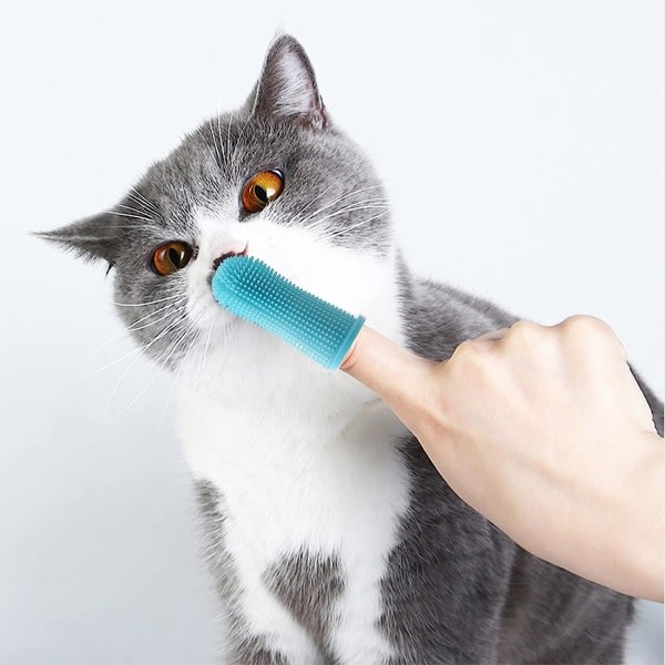 Hundfinger tandborste, valptandborste Giftfri silikon katttandrengöringsmedel för husdjurständer