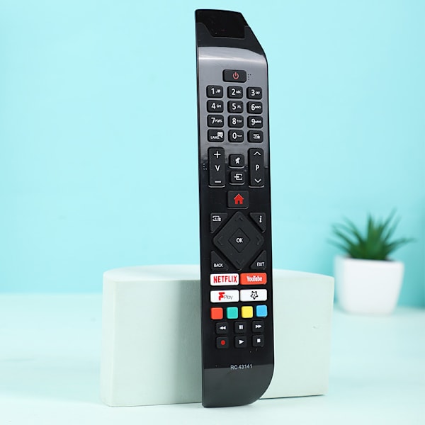 Universalfjärrkontroll för Hitachi TV RC43141 30100945