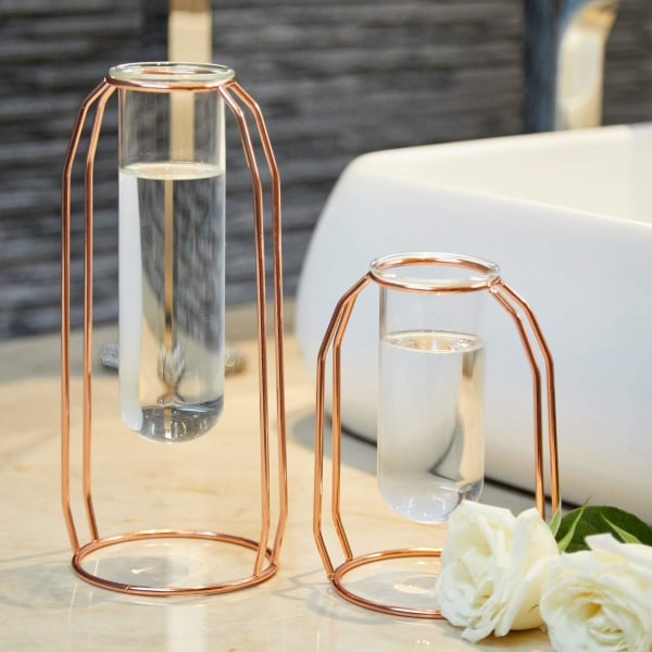 Flower Vas Set med 2 Klar Cylindrisk Glas Vas Tube Design