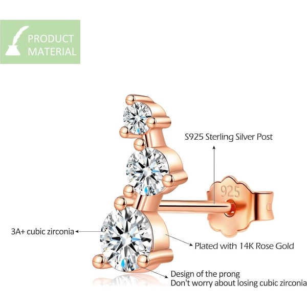 Silverörhängen: S925 sterling silver örhängen med klar cubic zirconia