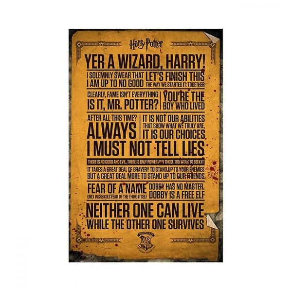 Harry Potter Citat plakat Flerfarvet One Size