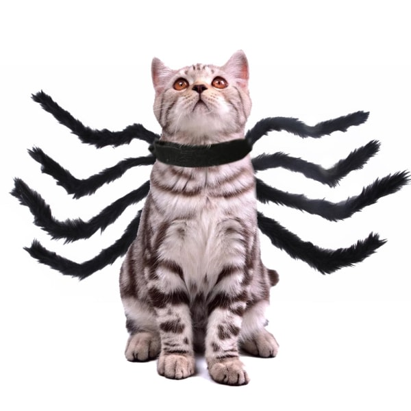 Svart(L) Halloween-spindeldräkt för hundkatt, halloweendekorationer för husdjur, spindeldekor, halloweenfesttillbehör, spindelcosplaykostymer med adj.