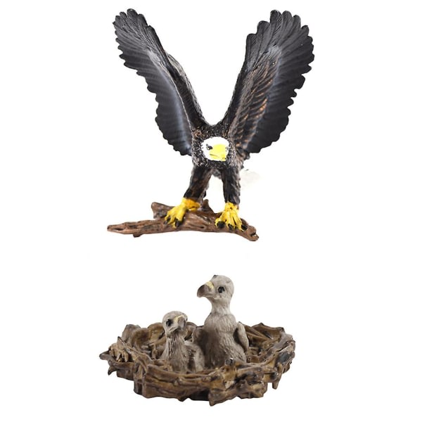 2 kpl Simuloituja eläinmalleja leluja jäljitelmä Eagle Model Ornament Lasten opetuslelut Elävä kotka Nuori kotka mallit lapsille Koti Asuntola