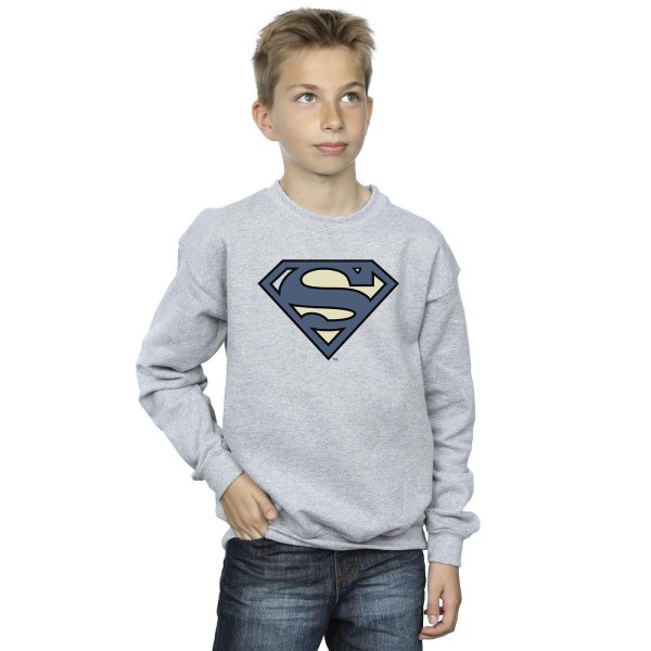 DC Comics Boys Superman Indigo Blue Logo Sweatshirt 9-11 år Sport Grå 9-11 år