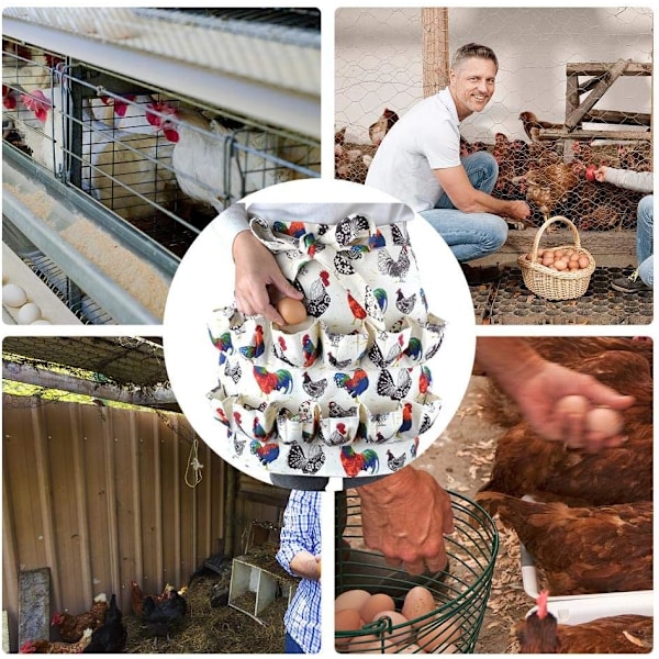 Egg-samlingsforkle, Egg-samlingsforkle med 12 egglommer