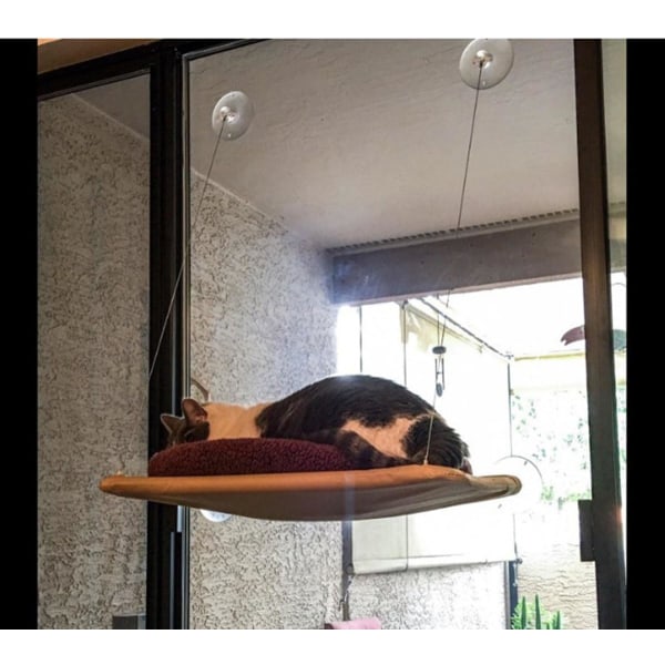 Katteseng vindue monteret med stærk sugekop & rustfrit stål