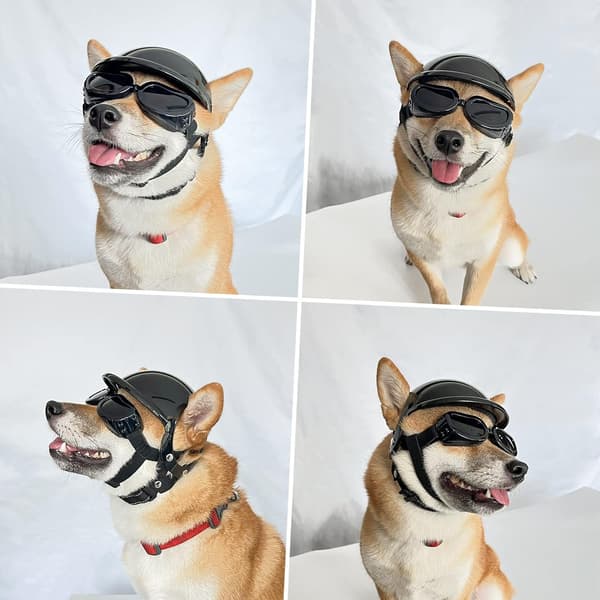 Dog Helmet and Goggles, Small-Medium, Sporty Pet Hat with UV Protection, Adjustable Windproof Snowproof Goggles-FF-