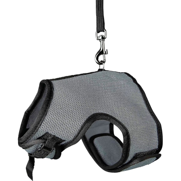 Smådjurssele för råttor Nylon 1 st (rosaröd)-XF3-