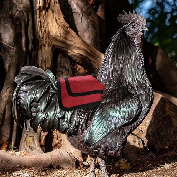 Kycklingsadel 4-pack fjäderskydd för kycklingar